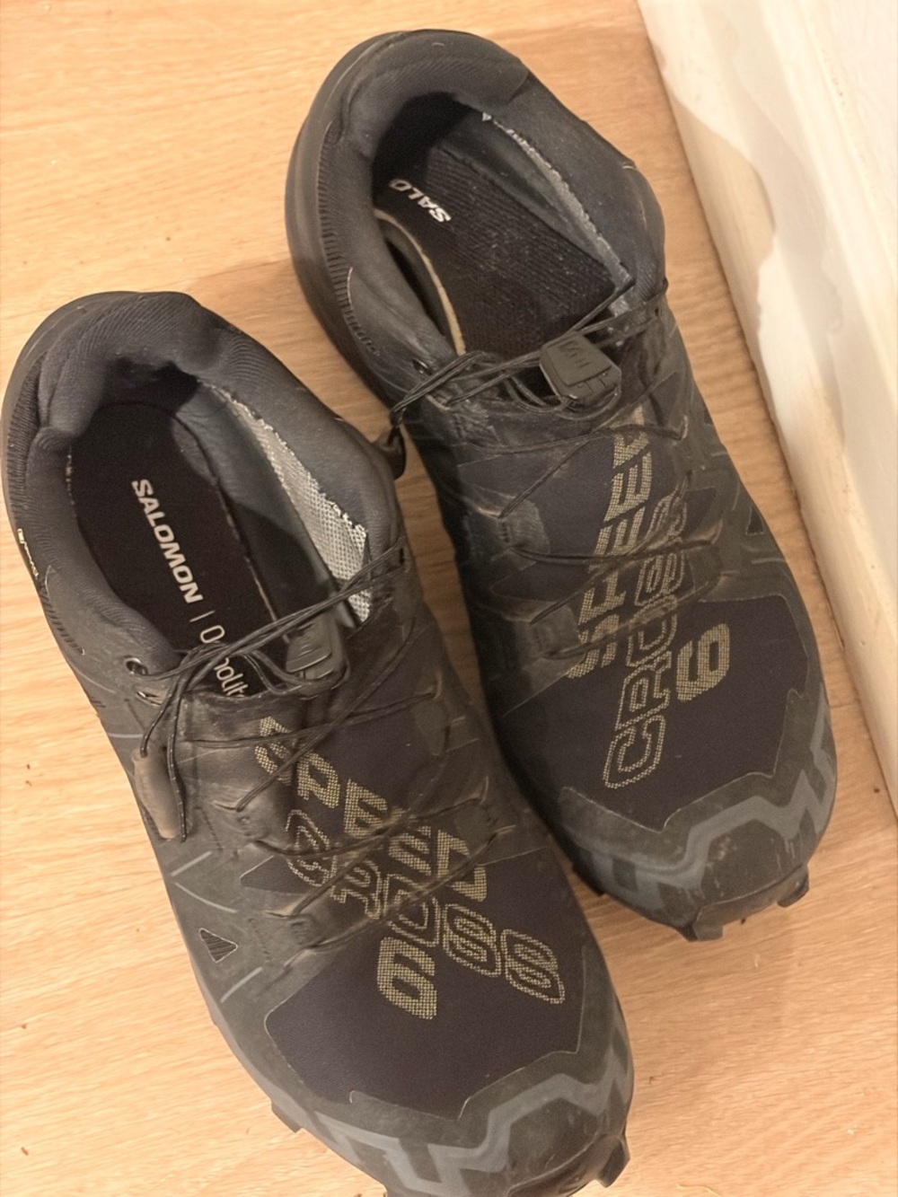 Salomon speed Trail Shoes